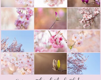 Stock Photos, Stock Photo Bundle, High Resolution Stock Photos, Stock Images, Spring stock photos, Marketing Photos, Blogger Stock Photos