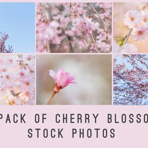 Stock Photography, Stock Photo, stock photo bundle, spring stock photos, social media photos, Marketing Photos, blogger stock photos