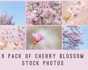 Stock Photography, Stock Photo, stock photo bundle, spring stock photos, social media photos, Marketing Photos, blogger stock photos