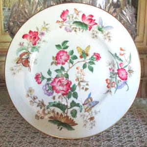 Vintage Wedgwood Charnwood 10 3/4&quot; Dinner Plate, Gorgeous Floral with Butterflies & Flying Insects, Very Good Condition!