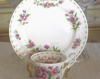 Vintage Royal Albert Michaelmas Daisy Teacup & Tea Plate, September Flower of the Month