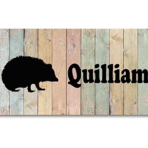 3&quot; x 6&quot; Hedgehog Cage Name Plate - Aluminum Sign for Hedgehog Cage -Personalized for your Hedgehog - background, font & wording choice