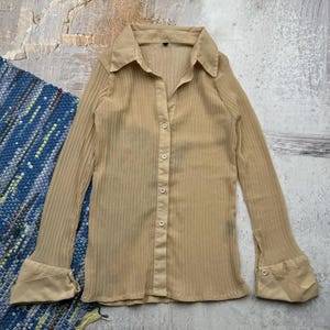 Vintage Mesh Pleated Blouse
