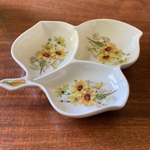 Old Nuremberg Bavaria Germany Sectional Dish