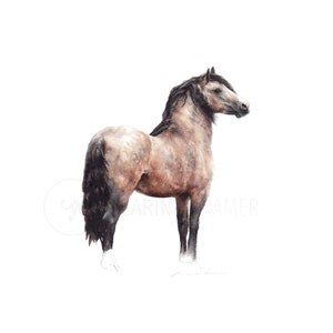 Solido - Dipinto ad acquerello originale di cavallo su carta ruvida - Opera d'arte equestre - Decorazione d'interni per amanti dei cavalli e case rustiche
