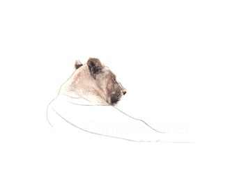 Hand Painted Casual Siesta - Original Lion painting - Line Art - Wildlife Art Africa