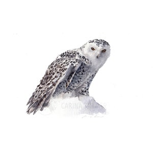 Hand Painted Snowy Owl Watercolor Art Print: Minimalist Winter Wildlife Decor