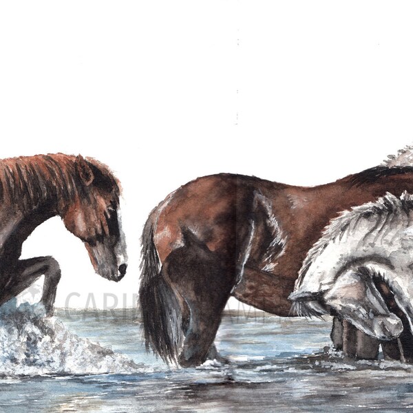 Riverhorses - Mustang watercolour painting - Equine Art - Wall decoration Horses