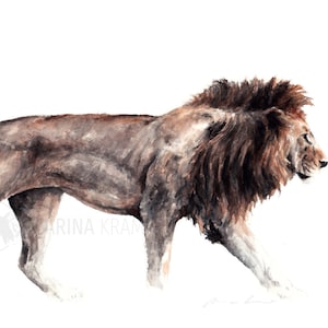 Maschile-Maschile Leone - Re Leone Wall Art - Pittura ad acquerello - Ricordi di Safari - Arte della fauna selvatica - Grande gatto