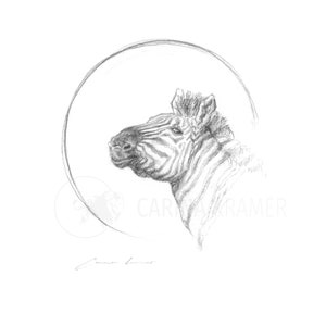Zebra - Schizzo originale a matita disegnato a mano su carta ruvida, opera d'arte sulla fauna selvatica per gli amanti degli animali africani, arte per la conservazione