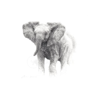 Elefante bambino; sono qui - Disegno originale e unico di un cucciolo di elefante su carta ruvida; idea regalo per la decorazione della casa africana