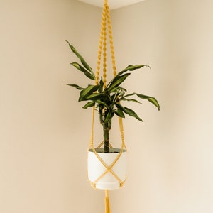 Puede incluir: Un macetero de macramé amarillo con una maceta blanca y una planta verde colgando del techo.