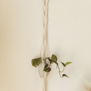 Puede incluir: Un macetero de macramé blanco con un anillo de madera en la parte superior. Una planta verde cuelga del macetero de macramé.