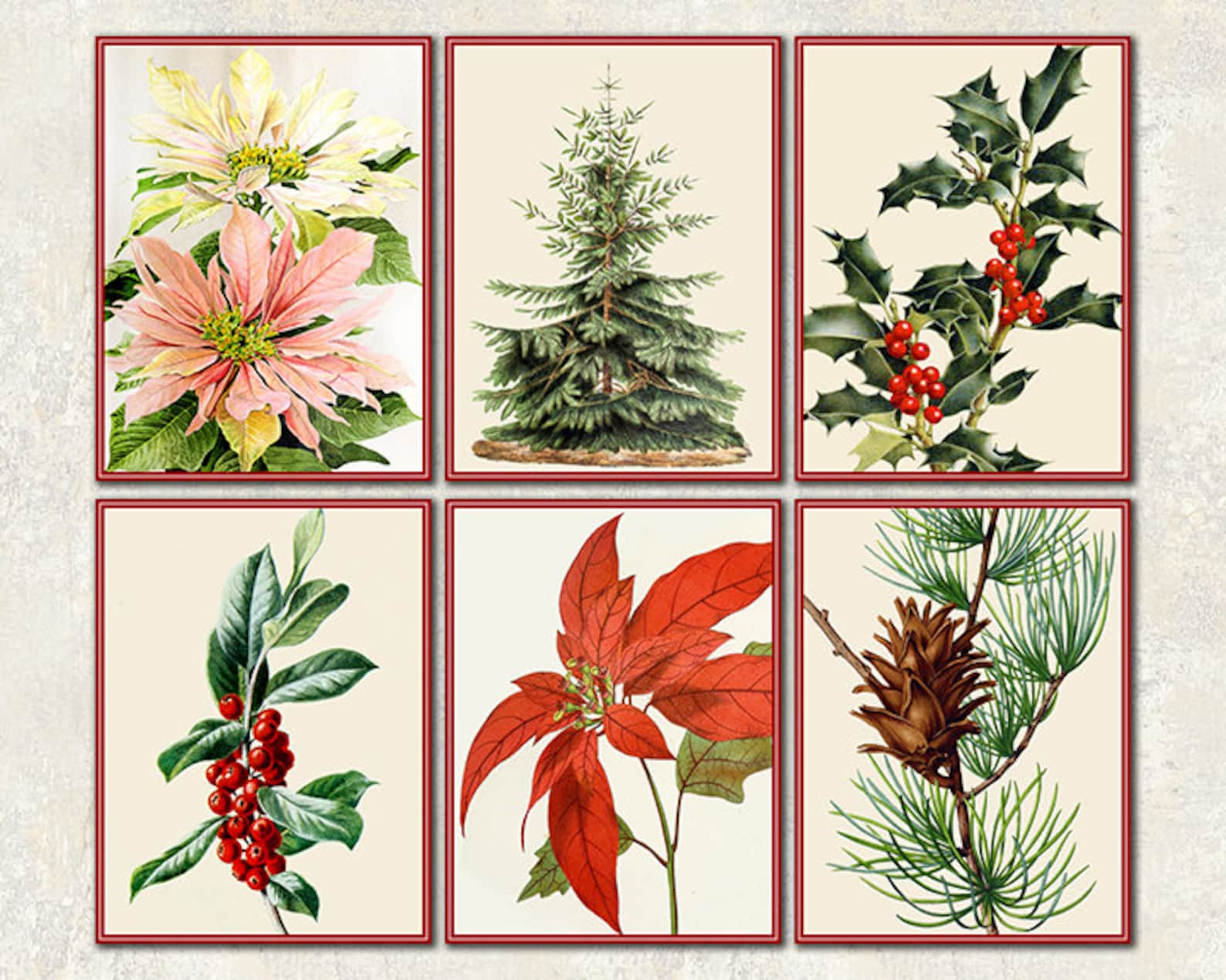 Christmas Botanical Prints - Etsy