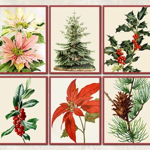 Christmas Botanical Prints - Etsy