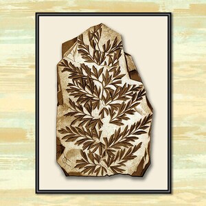 Fossilized Fern Fronds Antique Botanical Prints.