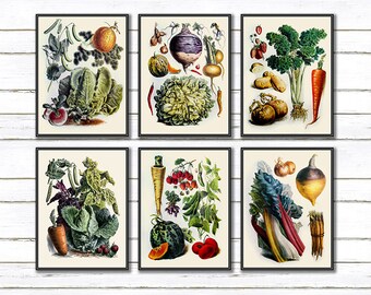 May include: Set of six vintage botanical illustrations featuring various vegetables, including cabbage, turnips, carrots, onions, and peas. The illustrations are in a watercolor style with a white background.