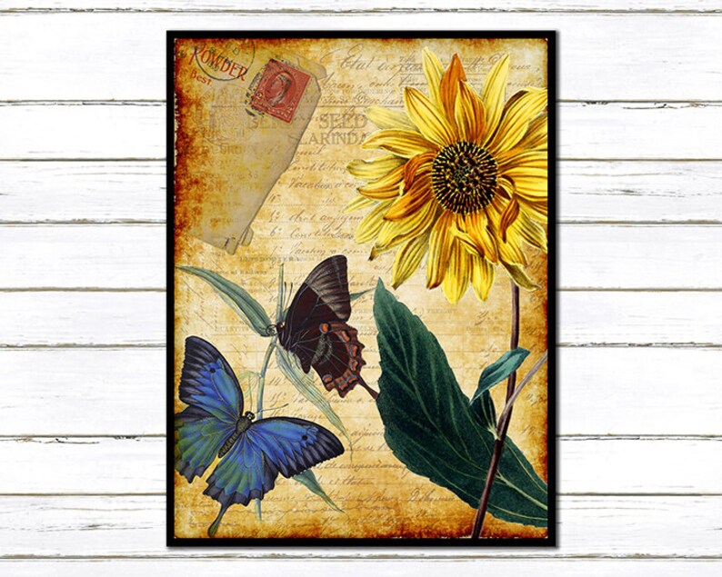 Sunflower and Blue Butterfly Shabby Chic Collage Print Etsy