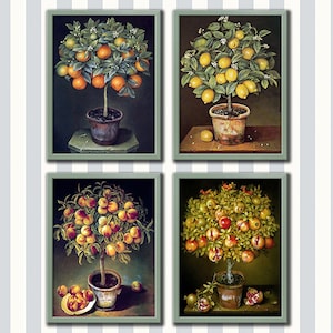 Topiary Tree Botanical Print Set