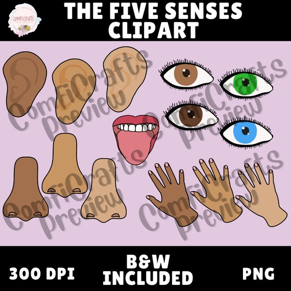 The Five Senses Clipart Set Commercial & Personal Use | Etsy UK