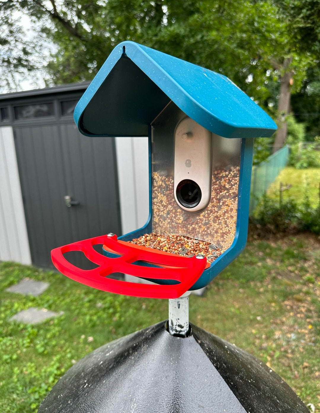 Bird Buddy Extended Heavy Duty Perch Perfect for Large Birds Like Blue