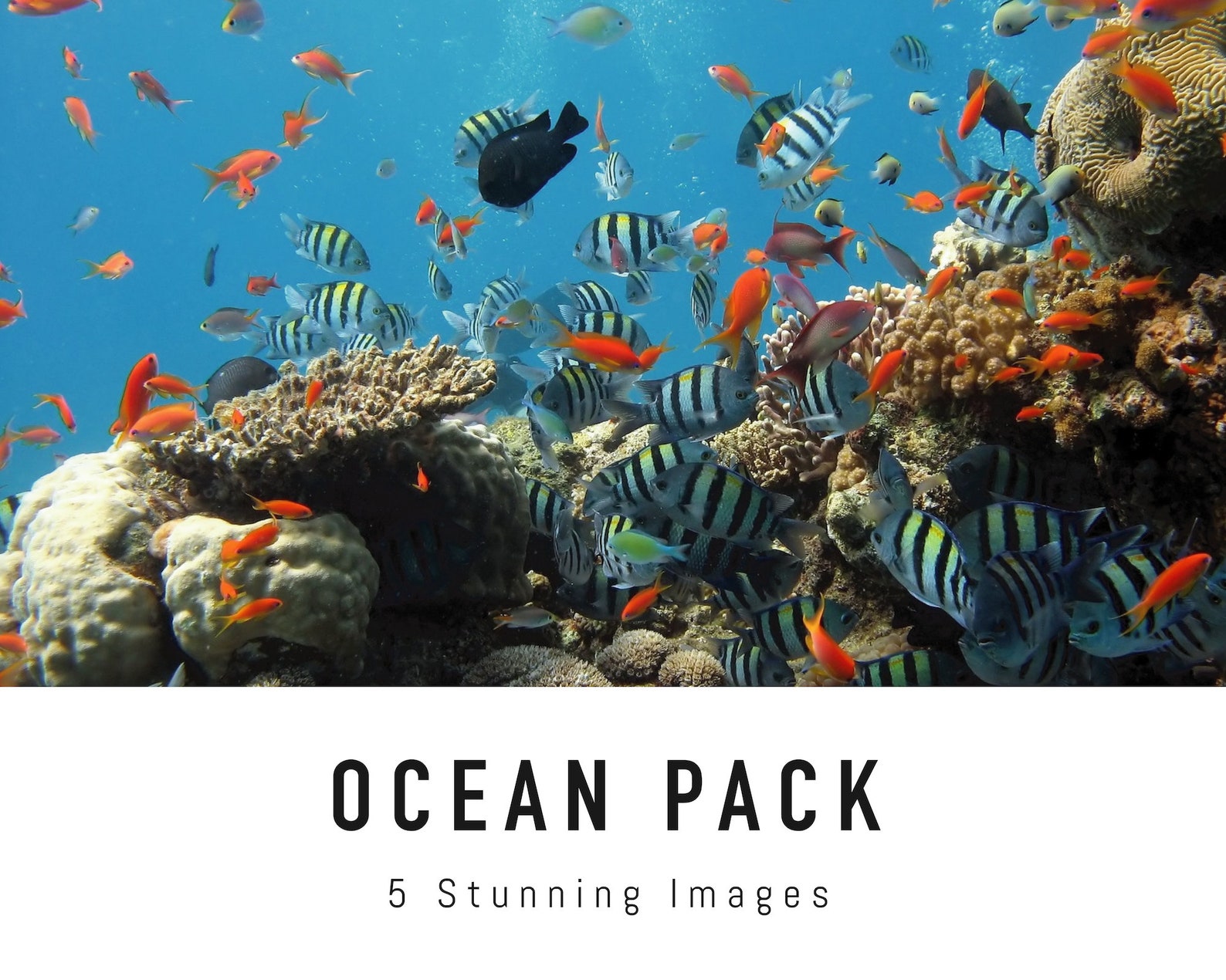 Ocean Zoom Background Pack 5 Sea Virtual Background Images Etsy Ireland