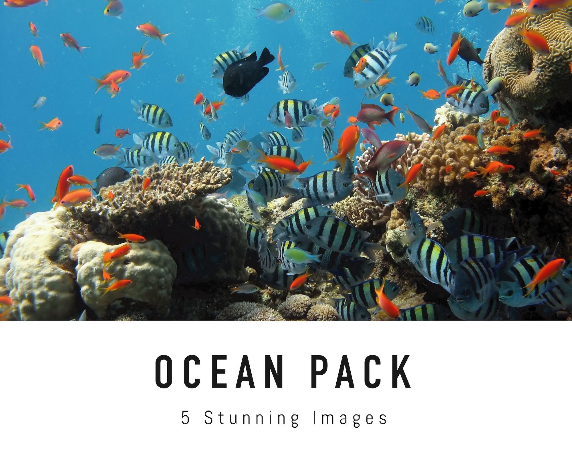 Ocean Zoom Background Pack 5 Sea Virtual Background Images Etsy Canada