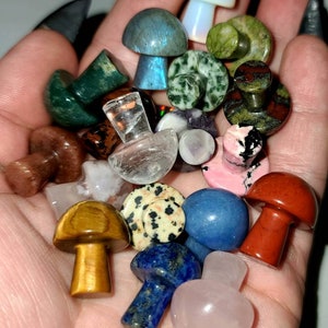 Tiny Carved Crystal Mushroom: Tigers Eye, Lapis, Quartz