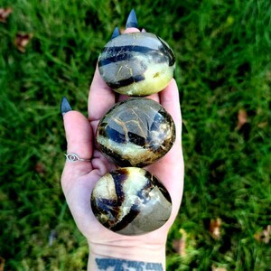 Septerian Palmstone crystal - &quot;dragon stone&quot; grounding,  confidence, 2 sizes available