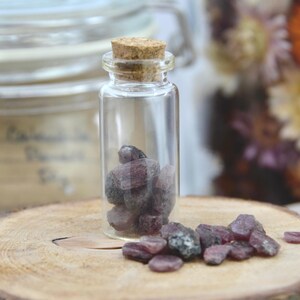 Peut inclure: Une petite fiole en verre transparent avec un bouchon en liège contenant plusieurs pierres de grenat brutes d'un rouge violacé profond. D'autres pierres de grenat sont éparpillées devant la fiole, présentant des formes irrégulières.
