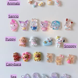 Op de afbeelding: Een verzameling kleine, kleurrijke harsbedels gerangschikt in rijen met labels. De categorie&euml;n omvatten Food, Animals, Sanrio, Puppy, Snoopy, Capybara en Sea animals. Deze decoratieve miniatuurstukken hebben verschillende vormen, waaronder etenswaren, stripfiguren en zeedieren in diverse kleuren en afwerkingen.