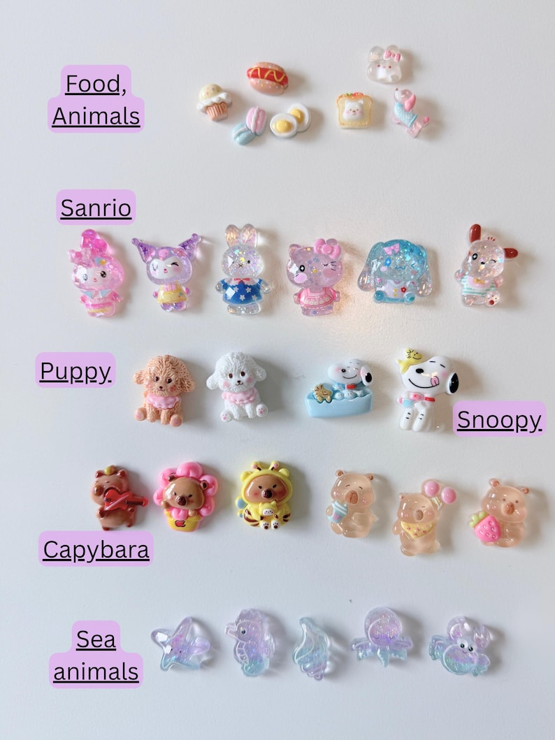 Op de afbeelding: Een verzameling kleine, kleurrijke harsbedels gerangschikt in rijen met labels. De categorie&euml;n omvatten Food, Animals, Sanrio, Puppy, Snoopy, Capybara en Sea animals. Deze decoratieve miniatuurstukken hebben verschillende vormen, waaronder etenswaren, stripfiguren en zeedieren in diverse kleuren en afwerkingen.