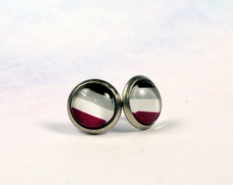 Asexual Pride Flag Earring Studs ~ Handmade Stainless Steel LGBT Glass 8mm Earrings