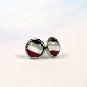 Asexual Pride Flag Earring Studs ~ Handmade Stainless Steel LGBT Glass 8mm Earrings