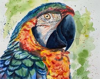 Parrot Painting Animal ORIGINAL Interior Artwork Watercolor 17" by 12" Tropical Birds Gift Idea Home Decor Wall Art by ArteAventuraStudio