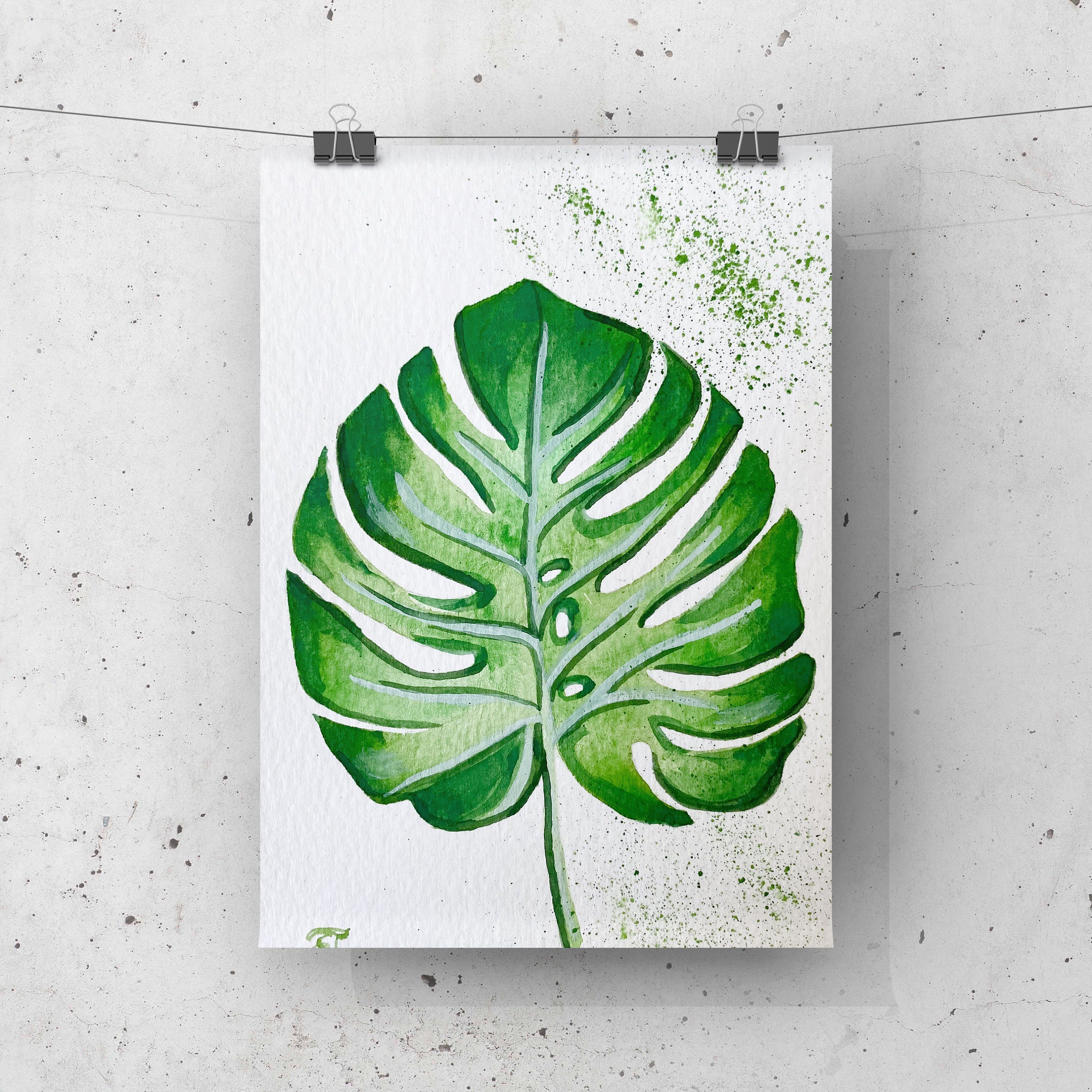 majesty philodendron Philodendron Majestic (sodiroi x verrucosum) – Carnivero