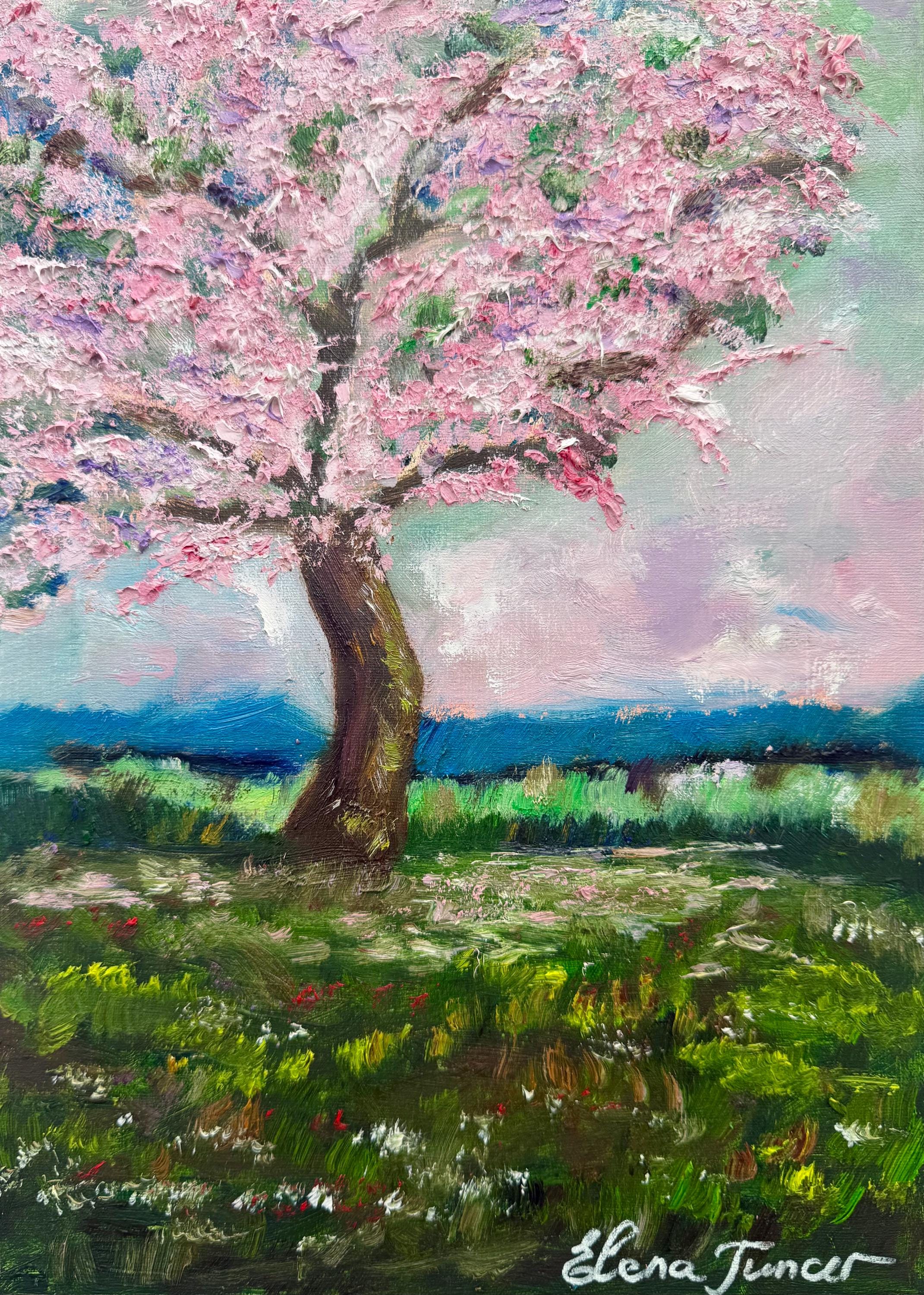 Cherry Blossom Tree ORIGINAL Oil Painting Japanese Spring