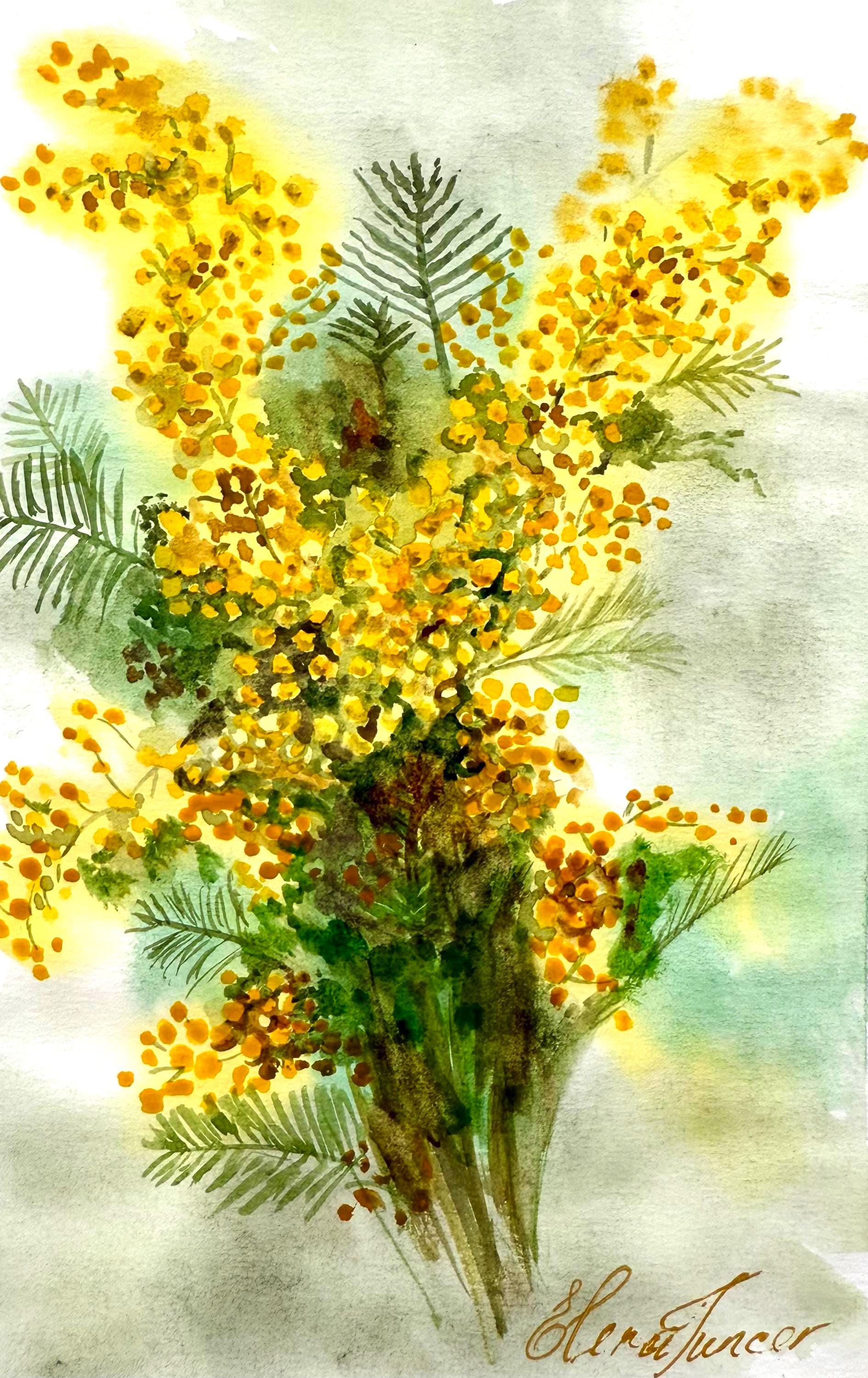 ミモザ　水彩画 ミモザの水彩画、黄色の花のボタニカルアート、8x6インチ - Etsy 日本