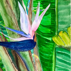 Banana Flower PANTING ORIGINAL Botanical Art 12x18&quot; Watercolor UNFRAMED Tropical Plant Gift California Tree Large Wall Art by Elena Tuncer