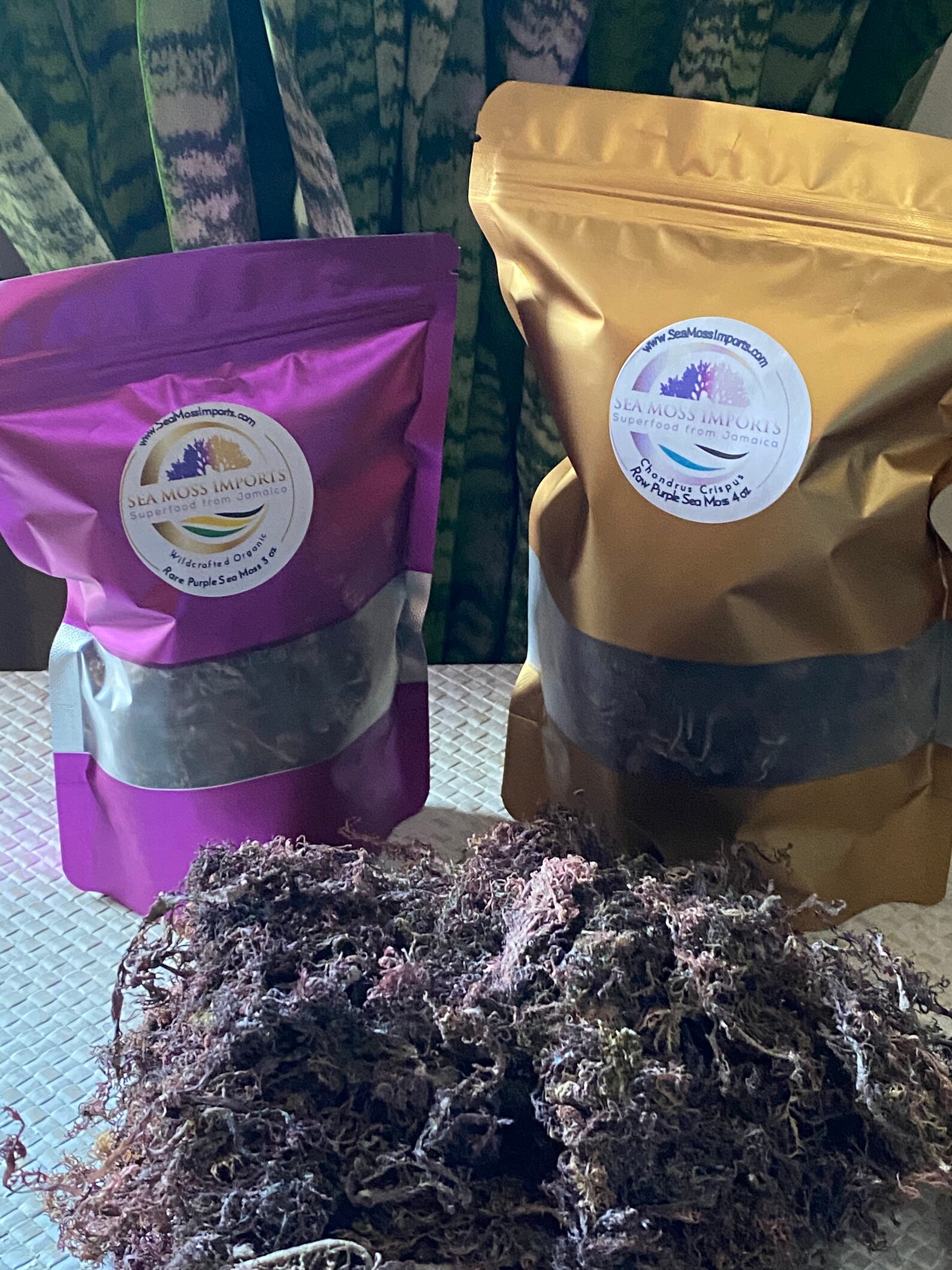 Wholesale Purple Sea Moss 3lbs Wildcrafted Sea Moss from Etsy