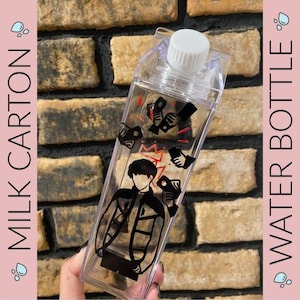 BTS Shadow Milk Carton Water Bottle