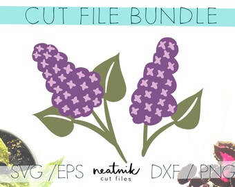 Free Free 277 Svg File Free Lilac Flower Svg SVG PNG EPS DXF File