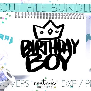 Birthday Boy SVG Bday Boy SVG Birthday svg Black Ink Fat Marker Gift Tshirt Hand Lettered SVG Cut File Bundle