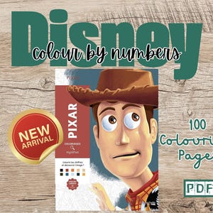 DIGITAL | Pixar Woody - Colour By Numbers | Coloriages Mystery