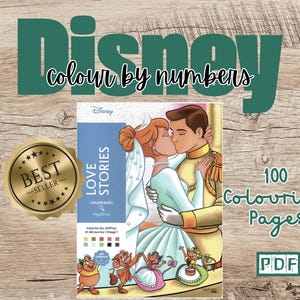 May include: A Disney coloring book with 100 pages featuring love stories. The cover shows a couple kissing, with the text "Love Stories" and "100 Coloring Pages" on the cover.