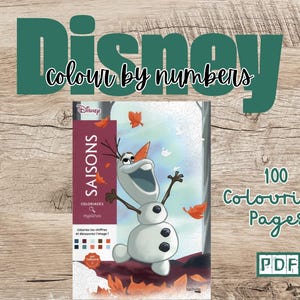 DIGITAAL | Coloriages Mystères Disney - Seizoenen - Kleuren op nummer - Mystery