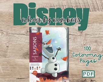 DIGITAL | Coloriages Mystères Disney - Seasons - Colour By Numbers - Mystery