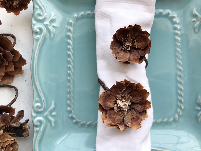 May include: A white napkin ring made from two brown pine cones. The napkin ring is on a light blue plate with a decorative border.
