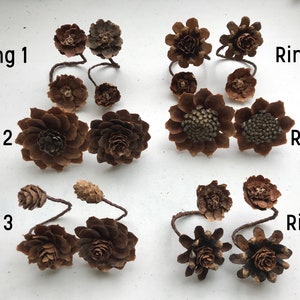 May include: Six different arrangements of pine cones, each labeled with a number from 1 to 6. The pine cones are arranged in a circular pattern, with the largest pine cone in the center of each arrangement. The pine cones are all brown and have a natural, rustic look.
