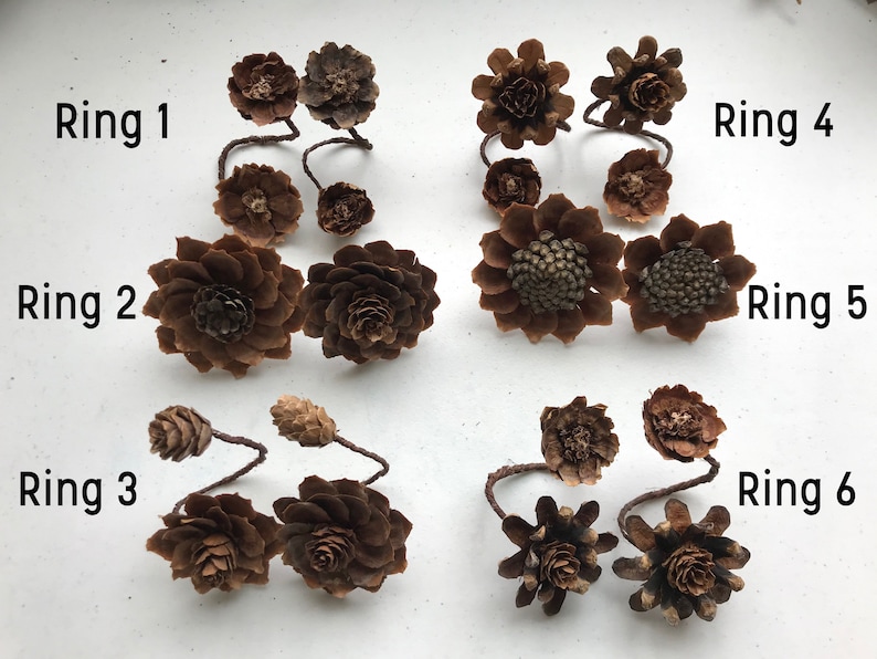 May include: Six different arrangements of pine cones, each labeled with a number from 1 to 6. The pine cones are arranged in a circular pattern, with the largest pine cone in the center of each arrangement. The pine cones are all brown and have a natural, rustic look.